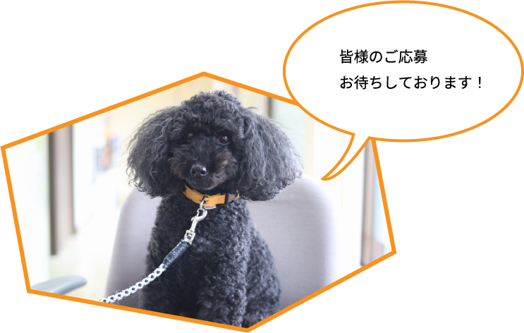 詳細は最寄りのハローワークへ!